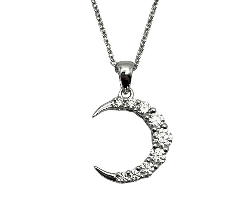 2025 Raffle Prize Crescent Necklace